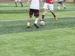 河南女排迎,关键力量,蔡晓晴担纲,米兰体育App官网,米兰体育App,米兰体育赛事,米兰体育下载,米兰体育娱乐